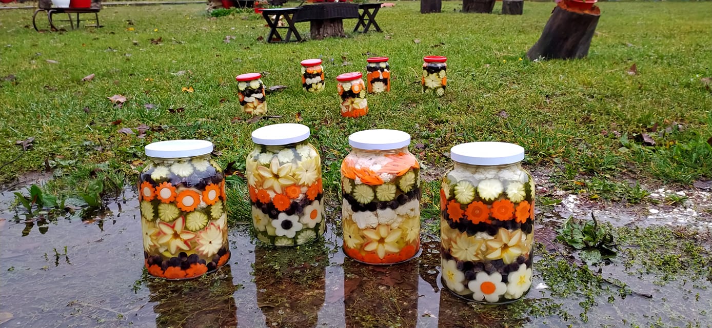 Anina domaća zimnica Topola (9)