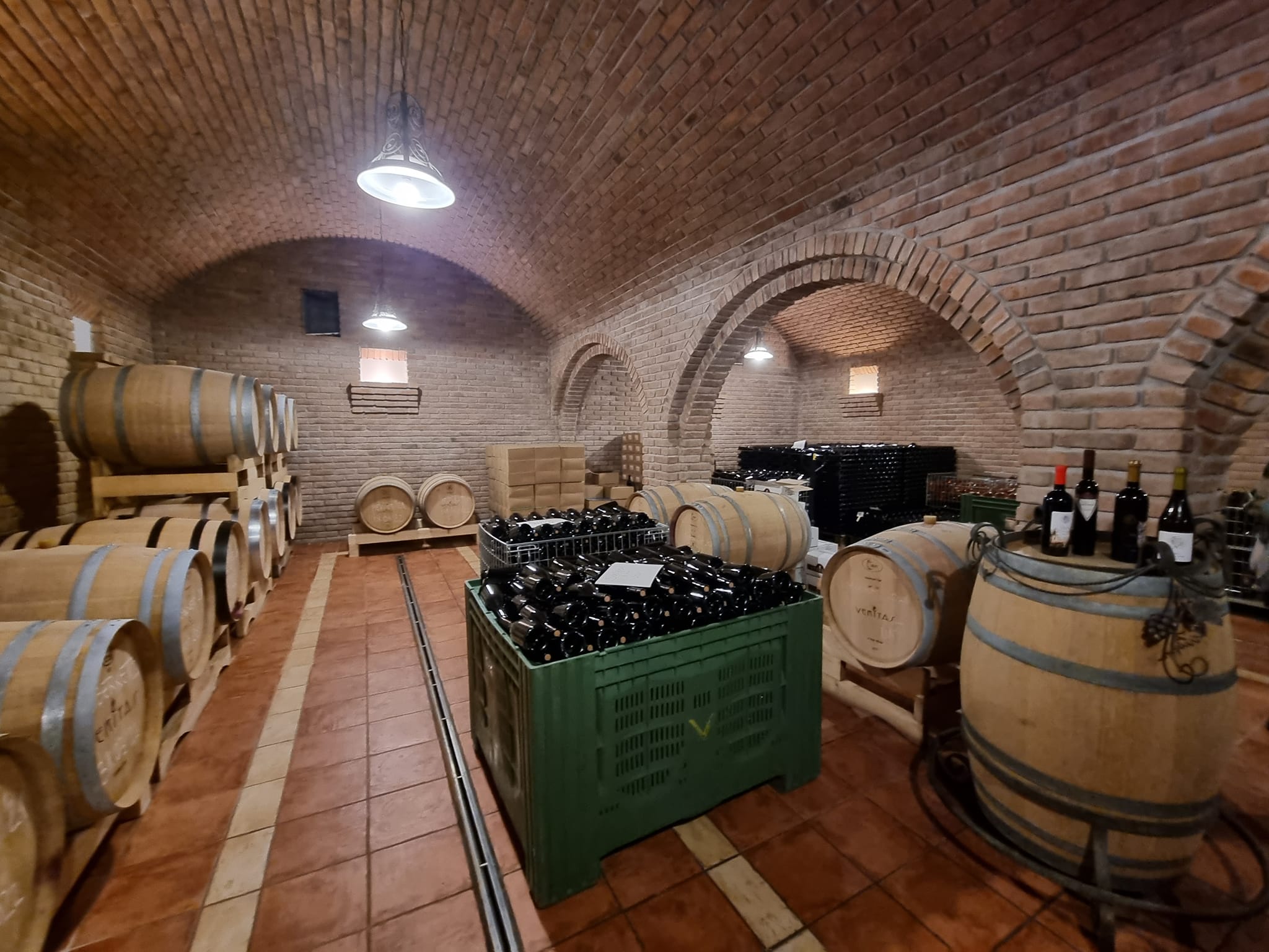 Vina Sremski Karlovci, Srbija – Vinarija Veritas (11)