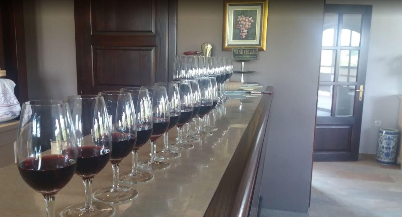 Vina Sremski Karlovci, Srbija – Vinarija Veritas (7)