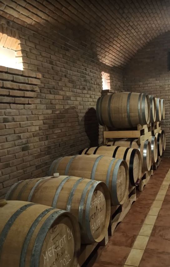 Vina Sremski Karlovci, Srbija – Vinarija Veritas (8)