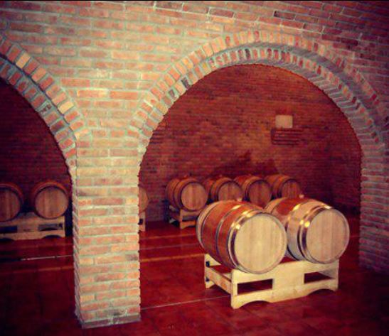 Vina Sremski Karlovci, Srbija – Vinarija Veritas (9)