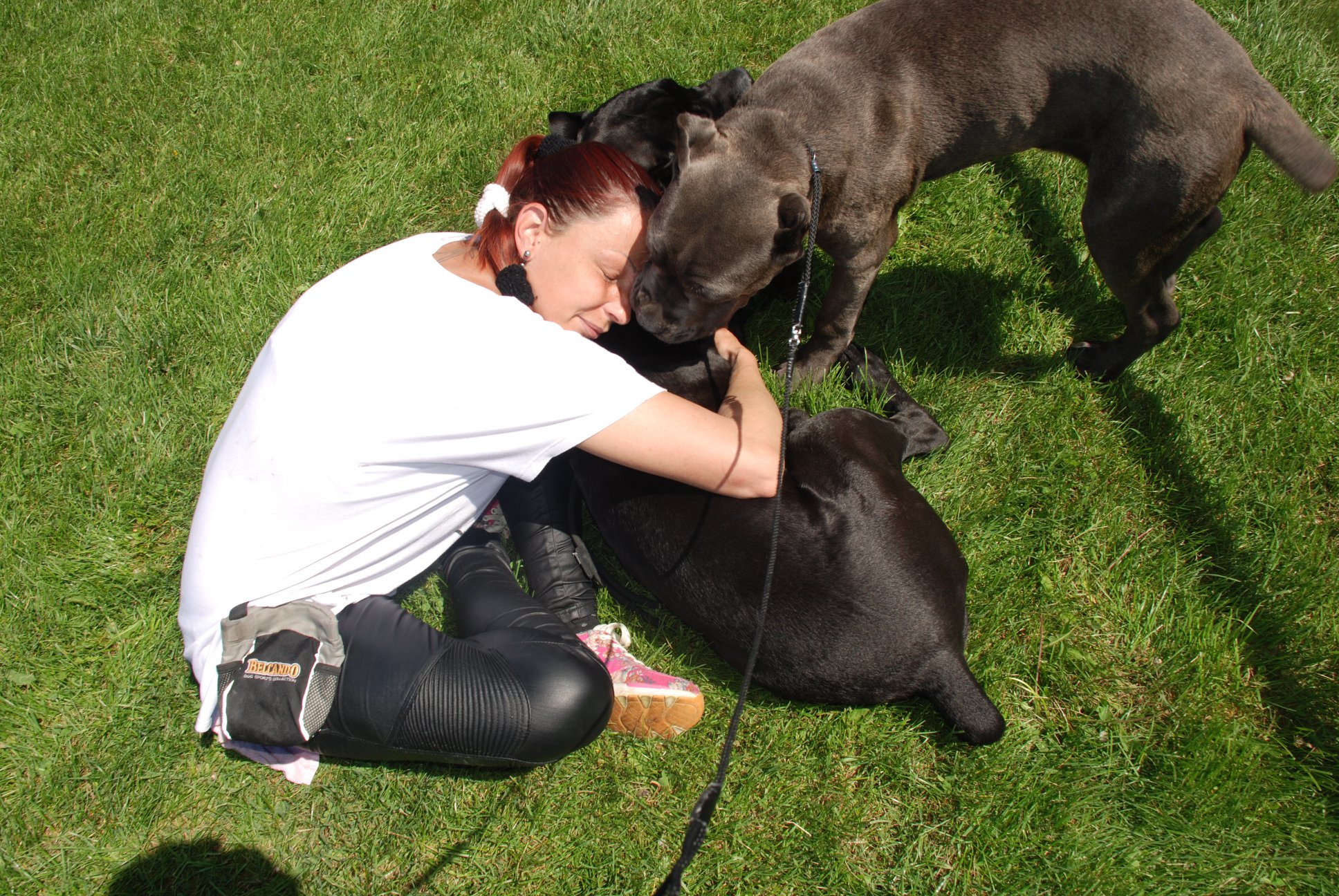 Odgajivačnica Cane Corso – Keeper Of Silver Gate Beograd (19)
