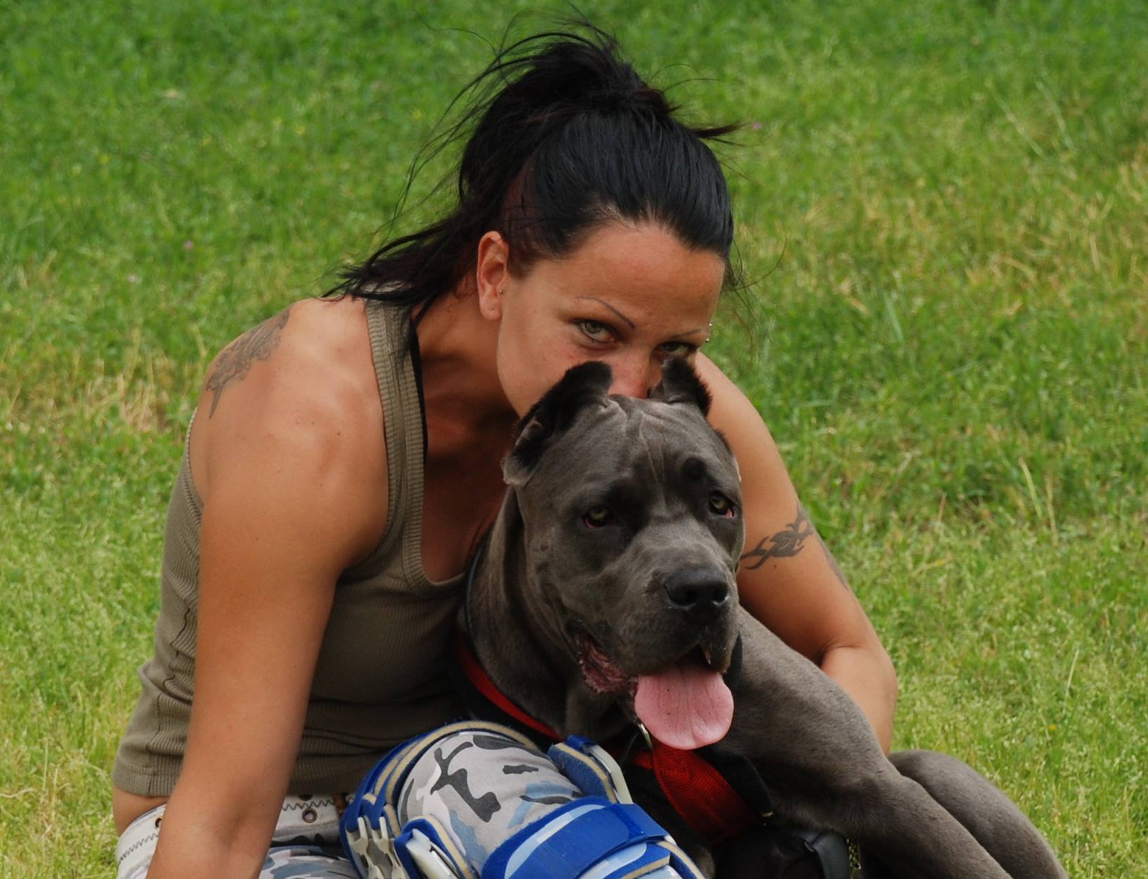 Odgajivačnica Cane Corso – Keeper Of Silver Gate Beograd (23)