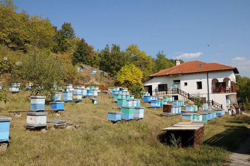 Timomed DOO Knjaževac (10)