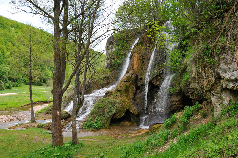 Timomed DOO Knjaževac (8)
