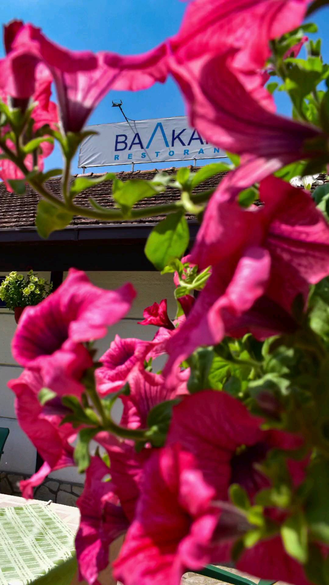 Restoran Balkan Mirijevo (14)