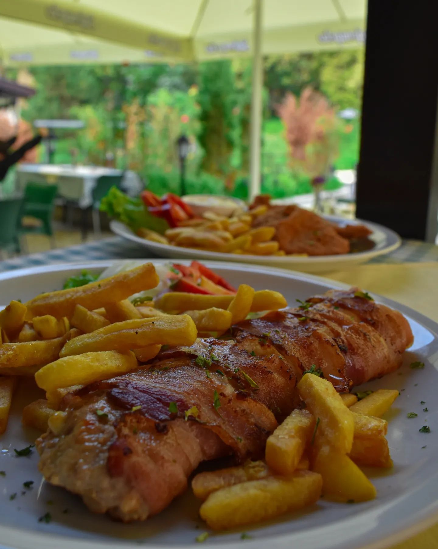 Restoran Balkan Mirijevo (5)