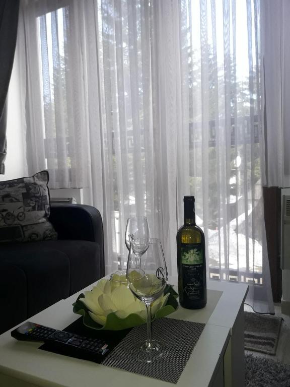 Apartmani Stefan Kopaonik (11)