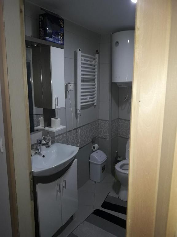 Apartmani Stefan Kopaonik (12)