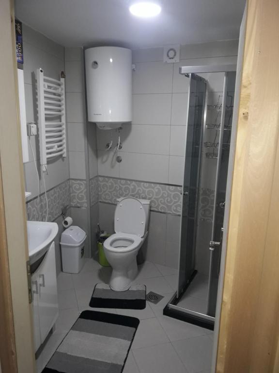 Apartmani Stefan Kopaonik (14)