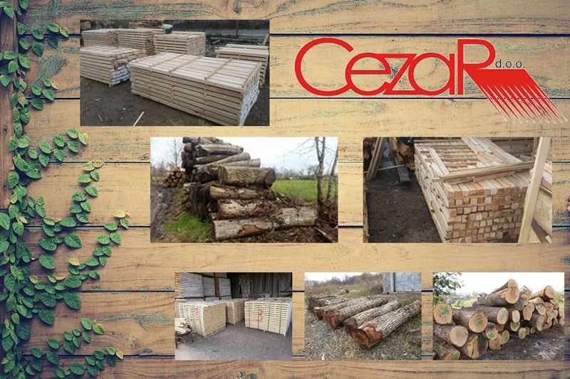 strugara-cezar-doo-kraljevo1