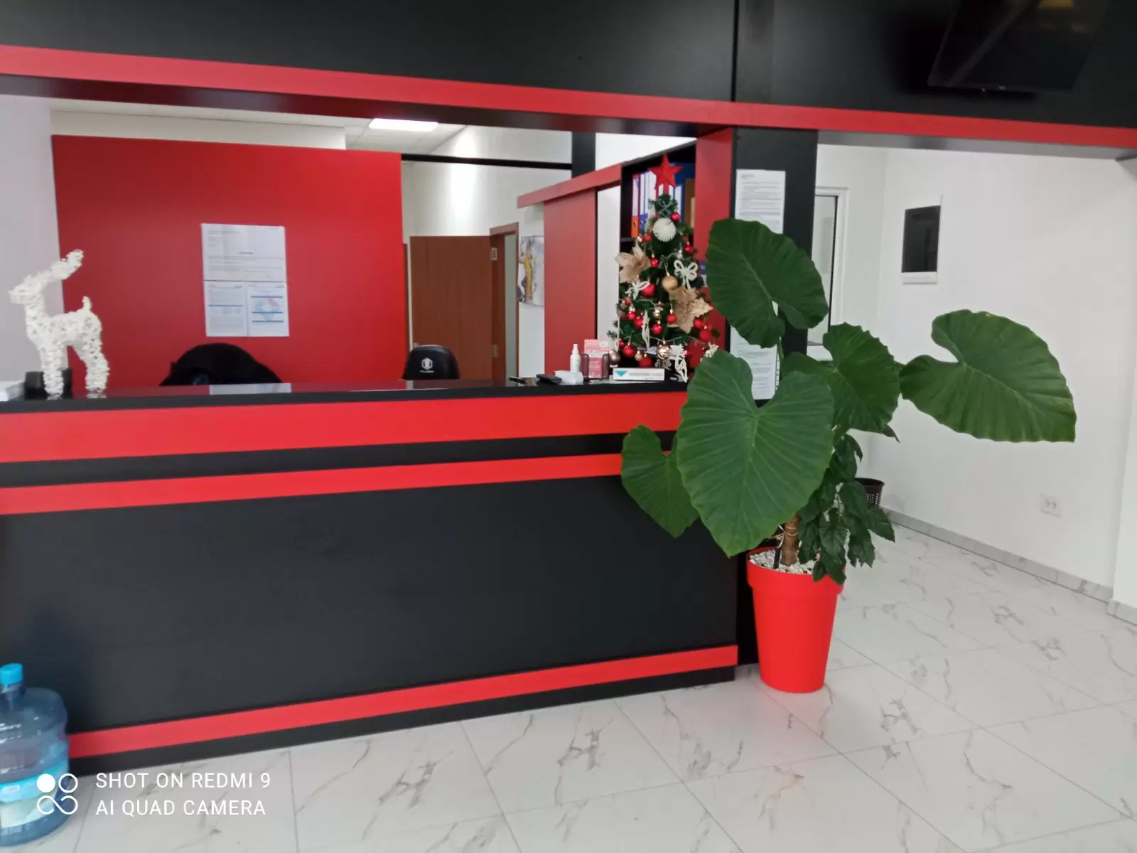 Auto u prolazu Despotovac (6)