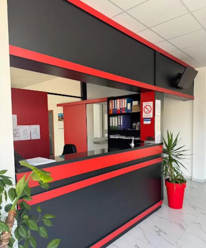 Auto u prolazu Despotovac (7)