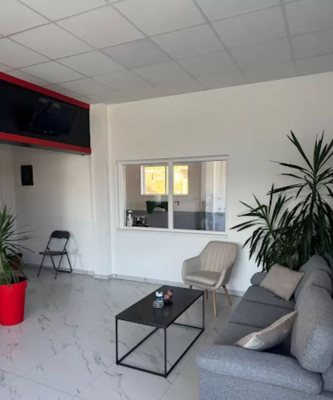 Auto u prolazu Despotovac (9)